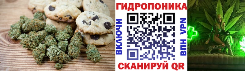 ссылка на мегу маркетплейс  Выкса  Canna-Cookies конопля 
